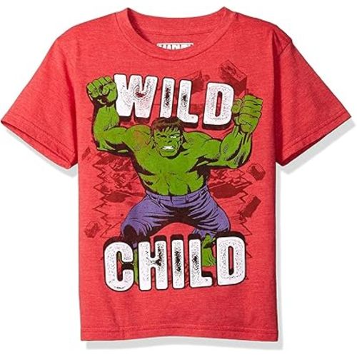 Marvel Little Boys' the Incredible Hulk T-Shirt