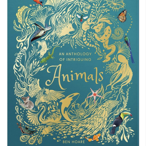 An Anthology of Intriguing Animals