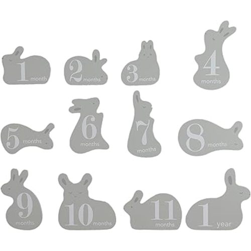 Pearhead Wooden Bunny Monthly Milestone Discs, Baby Photo Prop Keepsakes for Capturing Monthly Growth Through Baby’s First Year, Gift for Baby Girl or Baby Boy