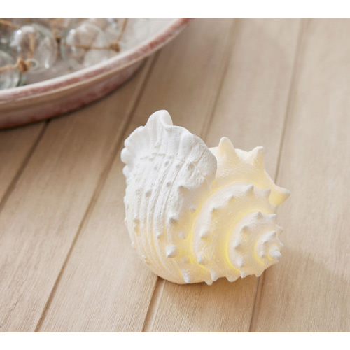 Conch Shell - Lit Coastal Objects | Pottery Barn
