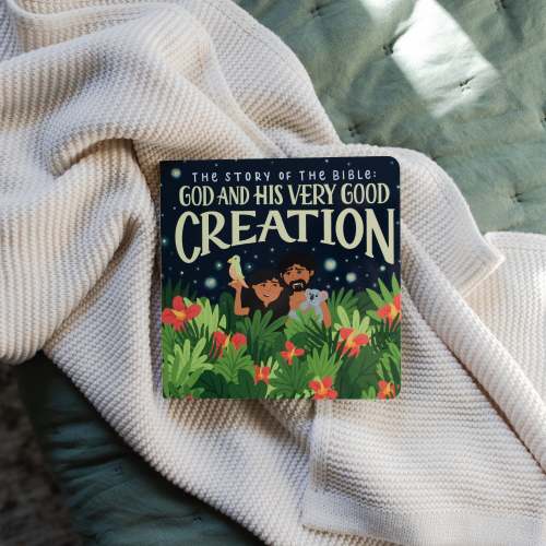 The Story of the Bible: Book 1 | TDGC – The Daily Grace Co.