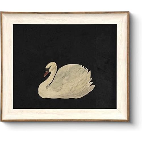 VIYYIEA Framed Wall Art for Living Room, Swan Art Canvas Prints, Vintage Home Decor, Animals Painting Picture, Bathroom Wall Decor Gifts for Friends or Family - 12L x 10W