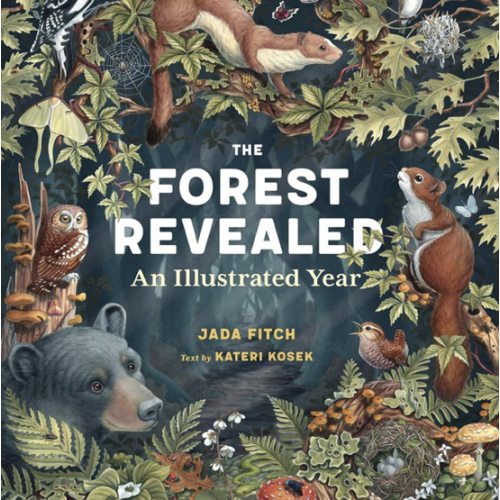 The Forest Revealed: An Illustrated Year