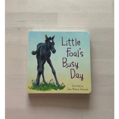 Little Foal's Busy Day - Bridle Up Hope Shop