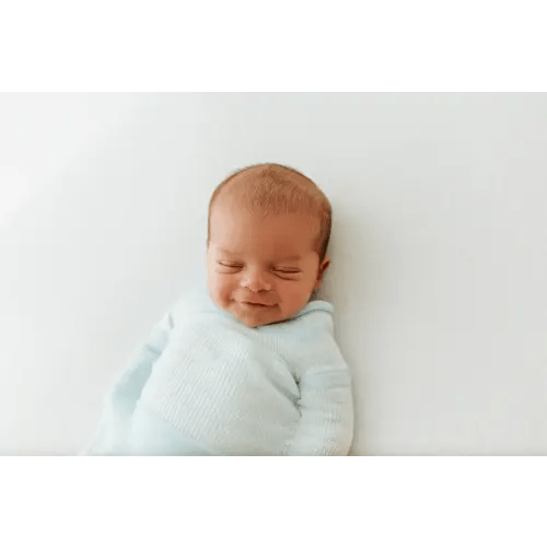 Blue Swaddle Sleep Sack – Swaddelini