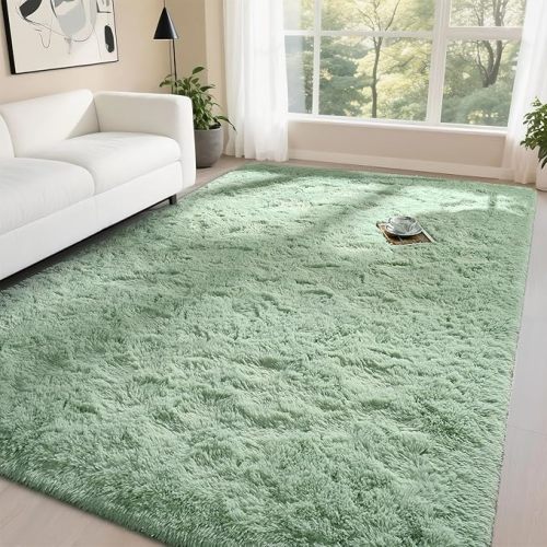 DweIke Fluffy Sage Green Rugs for Bedroom Living Room, 4x6 Feet Soft Plush Shaggy Light Mint Green Girls Boys Kids Rug, Non-Slip and Machine Washable Carpet for Dorm Nursery Classroom Decor
