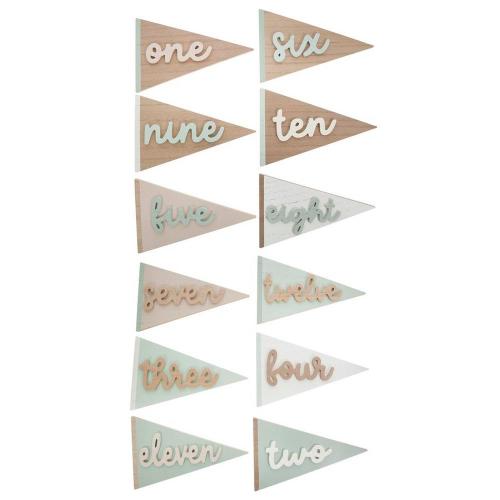 Monthly Milestone Pennants Set