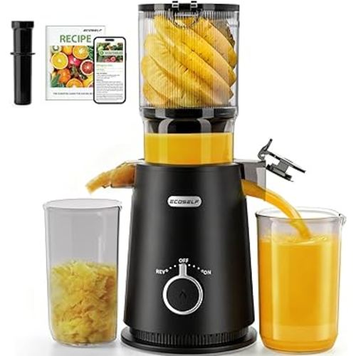 Juicer Machines - Wide Mouth Feed Chute with Self Feeding Hands-Free Design - Cold Press Juicer for Vegetables and Fruits - Juice Extractor Machine High Juice Yield - With Pusher