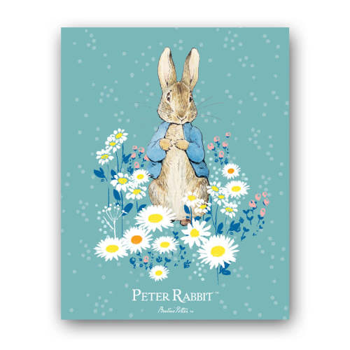Peter in Daisies Art Print