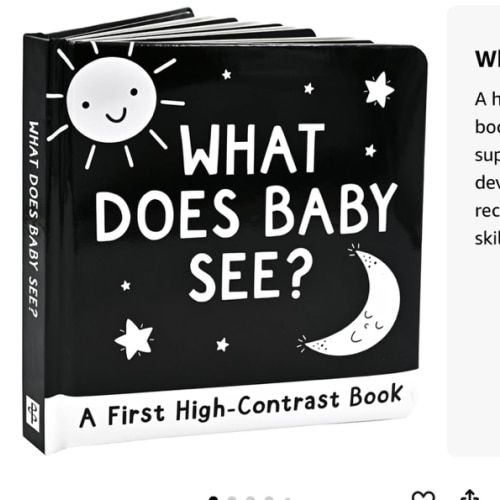 What Does Baby See? A High-Contrast Board Book (Padded Cover)