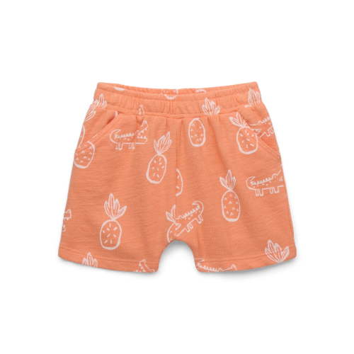 Garanimals Baby Boys Printed Knit Shorts, Sizes 0M-24M