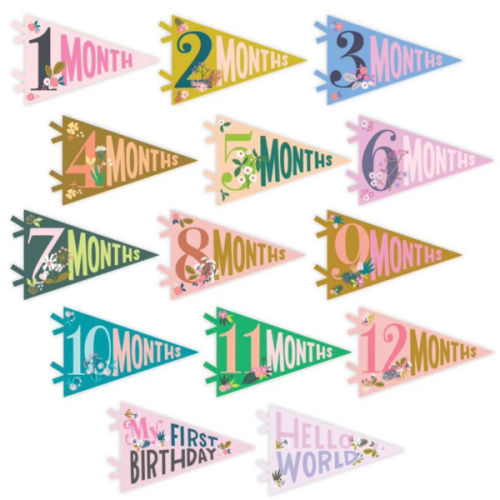 Little Artist Petit Milestone Pennants – Bonjour Fête