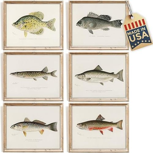 DREAM BIG PRINTABLES Vintage Fish Species Art Prints (Set of 6) - Unframed - 11x14 | Fishing Wall Decor for Fisherman