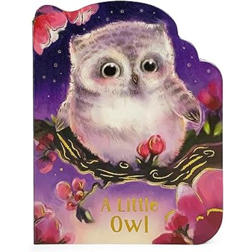 A Little Owl