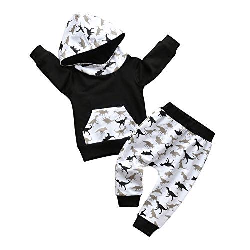 Toddler Infant Baby Boy Clothes Animal Style Long Sleeve Hoodie Tops Sweatsuit Pants Outfit Set
