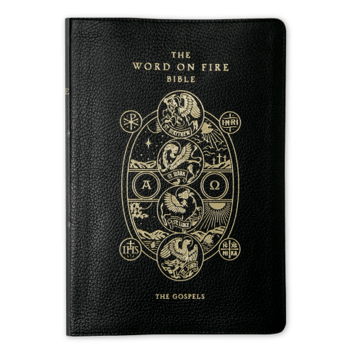 The Word on Fire Bible (Volume I): The Gospels
