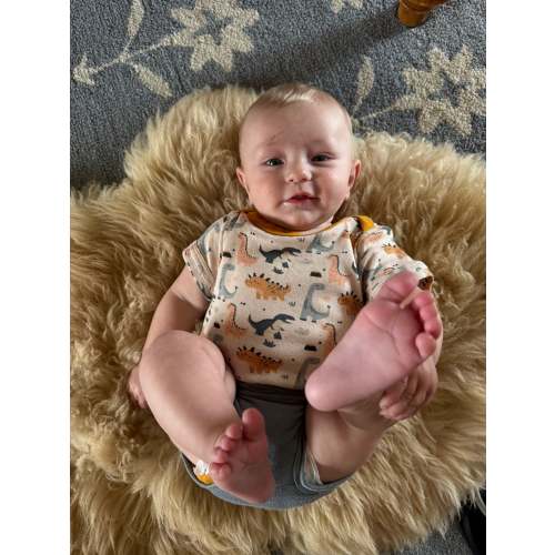 Organic Cotton Baby Short Sleeve Bodysuit, 2-Pack | Dinosaur + Solid G – Treehouse