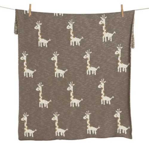 Knitted Blanket
