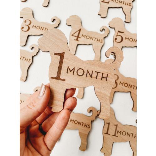 Baby Monthly Milestone Marker, 1-12 Month Baby milestone cards, Monthly Wooden Milestone Discs, Personalized Month Signs Baby, Monthly Signs