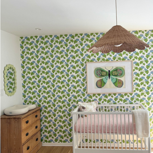 Dream Nursery Cash Fund