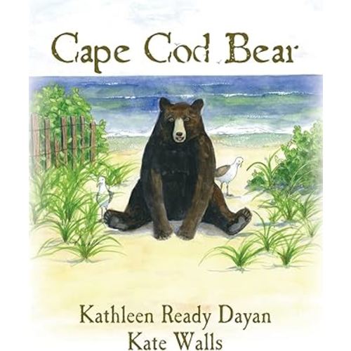 Cape Cod Bear