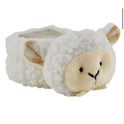 Comfort Care Booewe