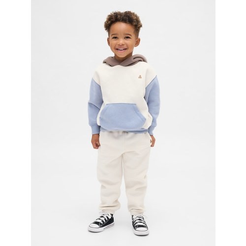 Baby & Toddler VintageSoft Colorblock Hoodie Set