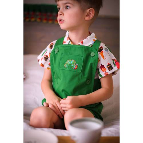 Very Hungry Caterpillar Romper Green Hungry Caterpillar Reversible Jon Jon Hungry Caterpillar Birthday Outfit Eric Carle Overalls