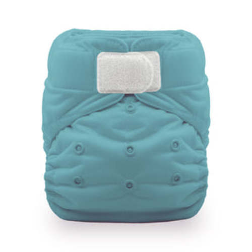 Best Rated All In One Cloth Diaper | Natural Cotton + Hemp | One Size – Thirsties Baby