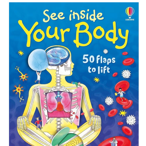 See Inside Your Body: An Interactive Flap Book About Anatomy and Organs for Curious Children (Ages 6-9)
