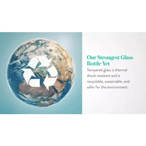 Evenflo 3pk Balance Wide-Neck Anti-Colic Baby Bottles Glass - 6oz