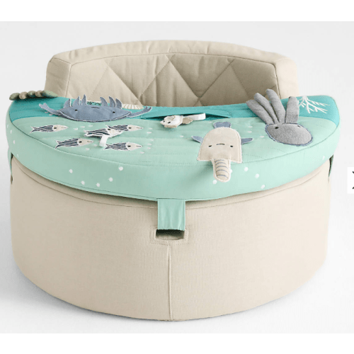 Aquatic Baby Activity Chair