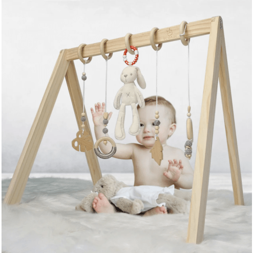 Wooden Play Gym - Activity Gym for Baby with 4 Hanging Wooden Baby Toy – ECOADE
