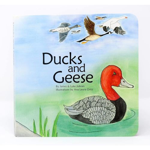 Ducks and Geese: Board Book, Wildlife, Animals, Conservation, Smile Outside, Children's book