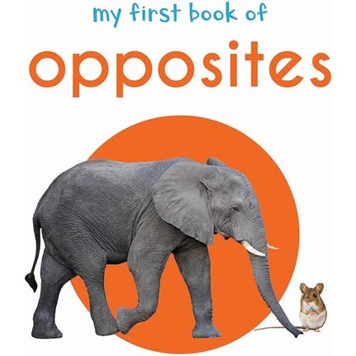 My First Book of Opposites Kindle Edition
