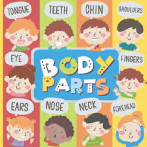 My Amazing Body Parts: A Human Body Parts First Picture Book for Toddlers 0-3. Very Easy and Exciting Exploration for Youngest Readers - Google Search