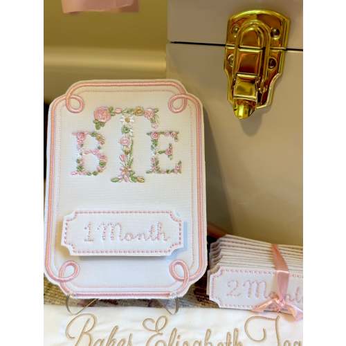 Baby Milestone Set