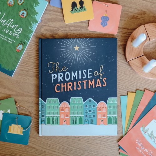 The Promise of Christmas - Children's Book– The Daily Grace Co.