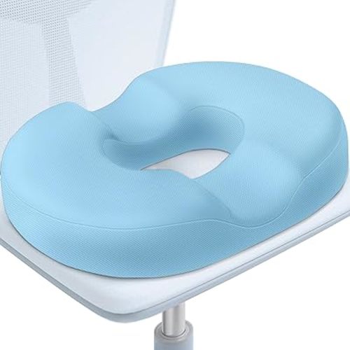 BlissTrends Donut Pillow Seat Cushion,Donut Chair Cushions for Postpartum Pregnancy & Hemorrhoids,Tailbone Pain Relief Cushion,Memory Foam Lifting Cushions for Office&Home Chairs (Light Blue)