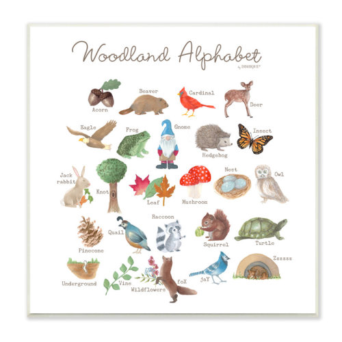 Stupell Industries Woodland Alphabet Wildlife Botanicals Learning Forest Creatures Wall Plaque Art By Dishique | Wayfair
