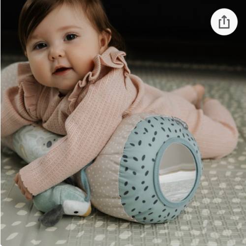Animal Adventures Tummy Time Pillow