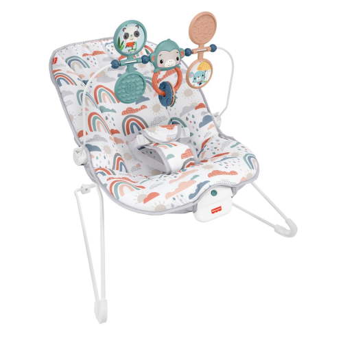 Fisher-Price Baby's Bouncer – Rainbow Showers - Walmart.ca