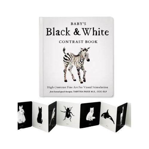 Baby's Black and White Contrast Book - (Tabitha Paige Children's Book) by Tabitha Paige (Board Book)