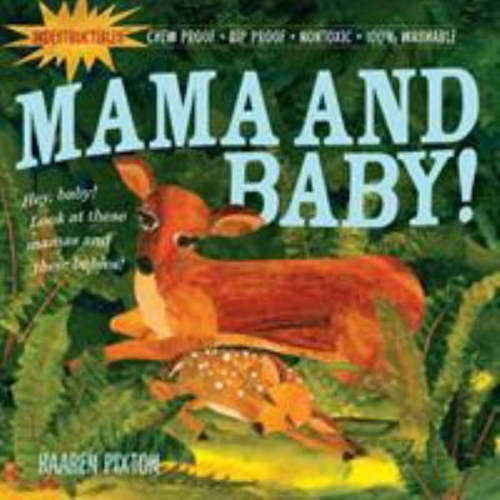 Pre-Owned Indestructibles: Mama and Baby!: Chew Proof - Rip Proof - Nontoxic - 100% Washable by Kaaren Pixton (Paperback)