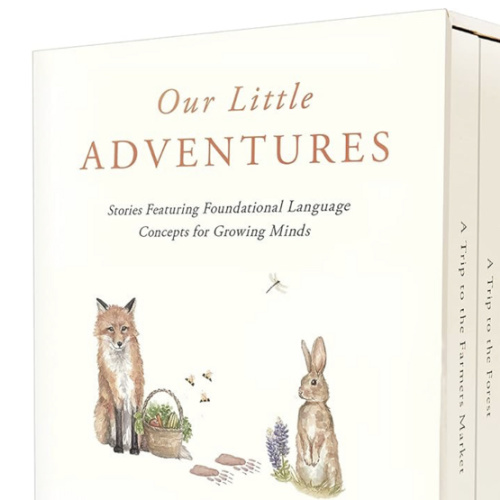 Our Little Adventures: Stories Featuring Foundational Language Concepts for Growing Minds (Tabitha Paige Children's Book Series)