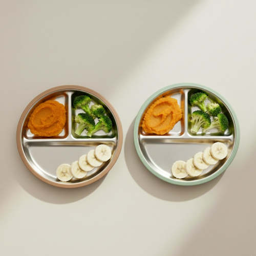 Stainless Steel Plate Set of 2 (Mocha Mousse & Sage Green)