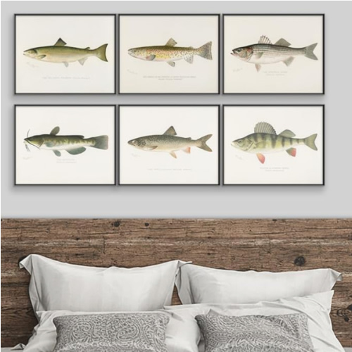 Fish Wall Art Prints (Set of 6) - Unframed - 11x14s | Vibrant and Captivating Oceanic Decor | Coastal-themed Wall Decor | Living Room Decor | Farmhouse Decor | Bathroom Wall Decor | Home Decor