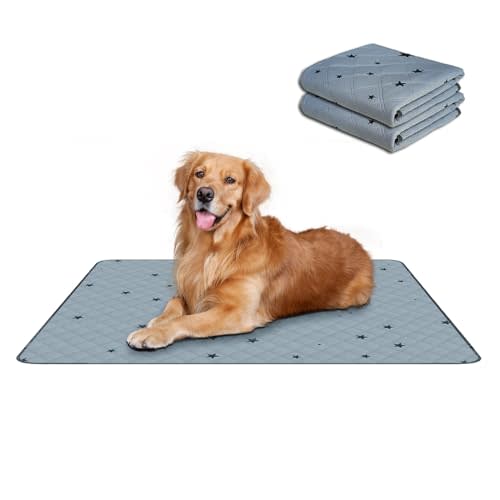 RIOUSSI Washable Pee Pads for Dogs, Reusable, Absorbent, Leakproof, Non Slip Pet Puppy Pads for Potty Training. Gray Stars, 24x36 Inch(2pack)