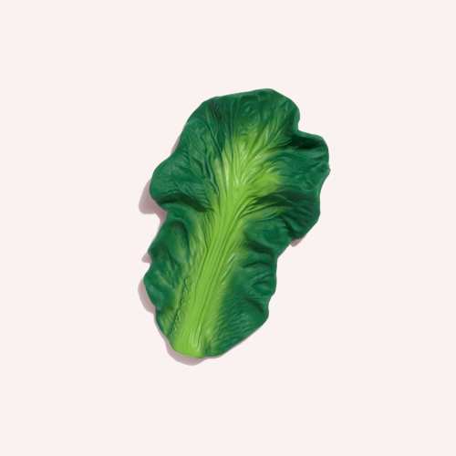 Kendall The Kale Baby Teether