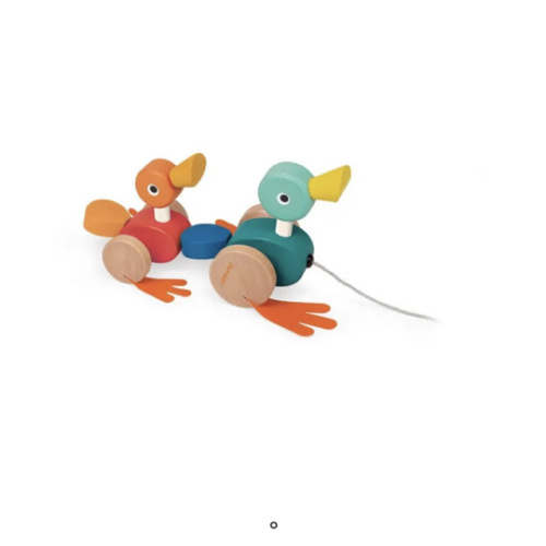 Duck family to take for a walk